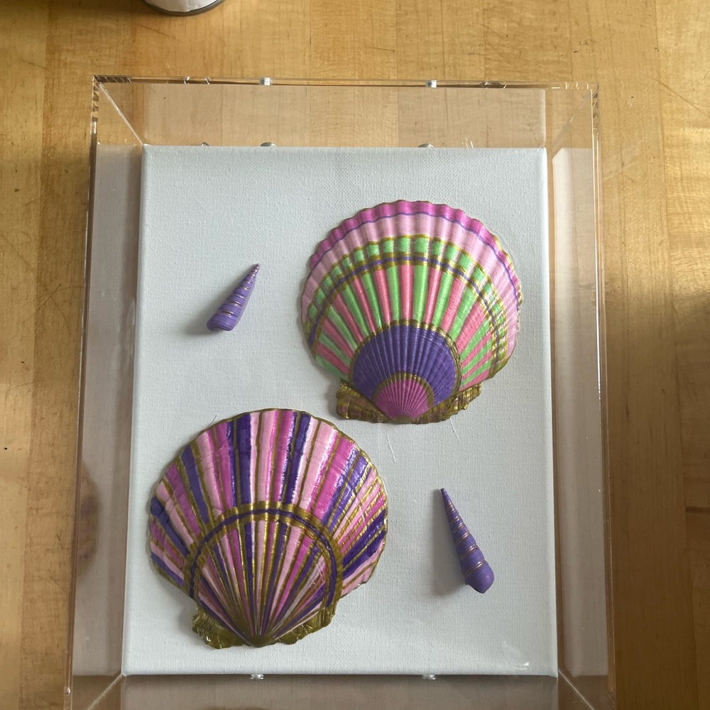 Colorful Seashell Wall Art
